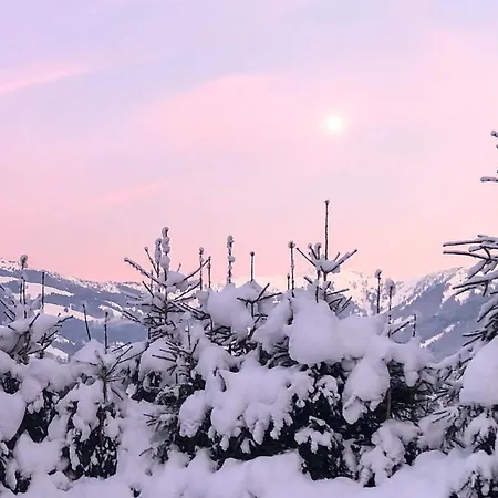 Zell By Alp Lux - In-out