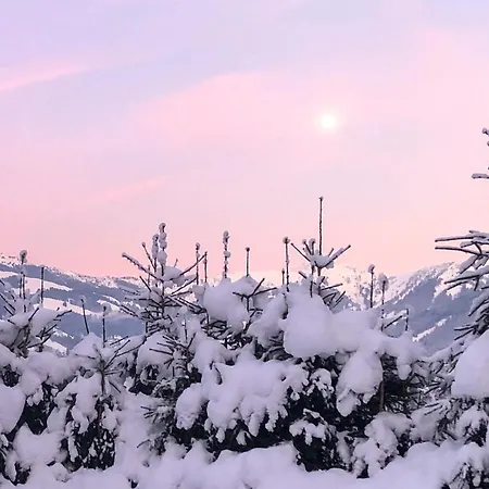 Zell By Alp Lux