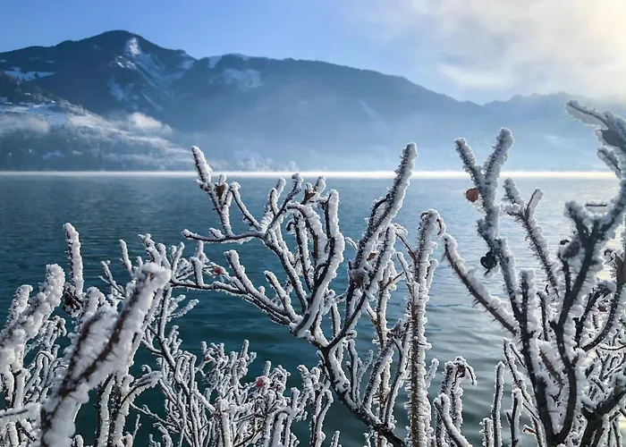 Zell By Alp Lux - In-out *