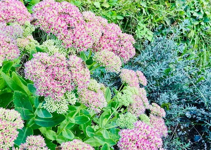 Zell By Alp Lux - In-out *